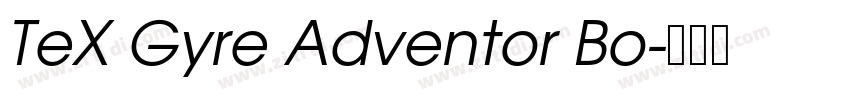 TeX Gyre Adventor Bo字体转换